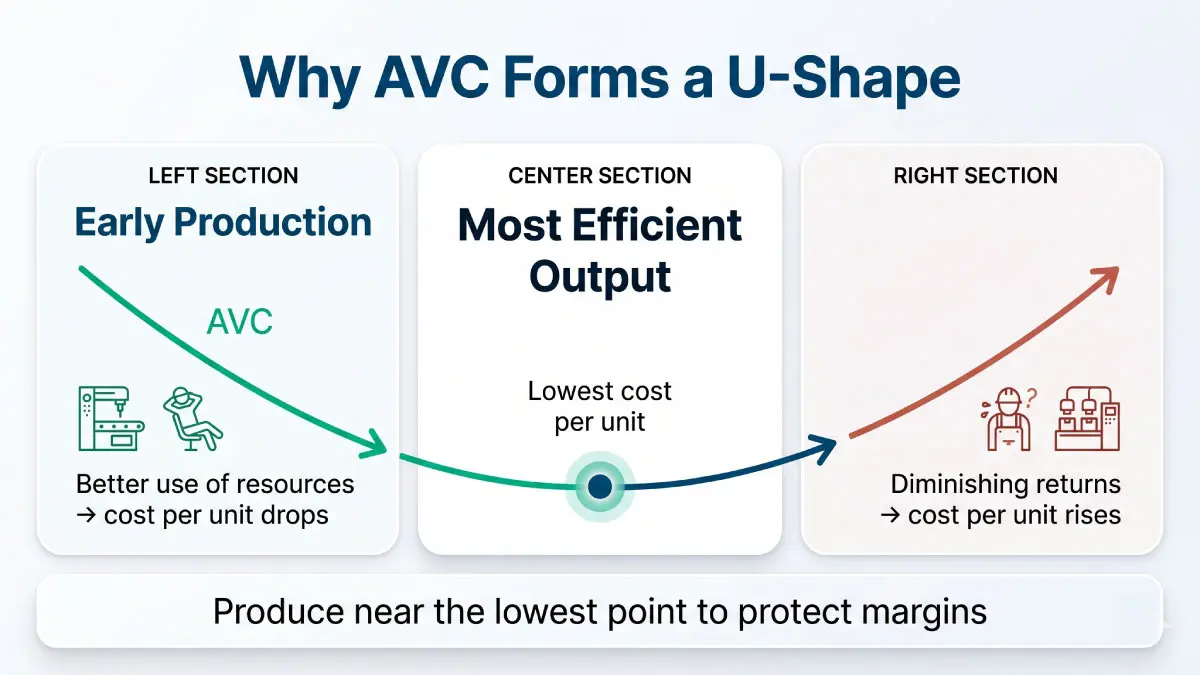 Average variable cost U-shaped curve chart showing early efficiency gains, lowest cost point, and rising costs due to diminishing returns in production