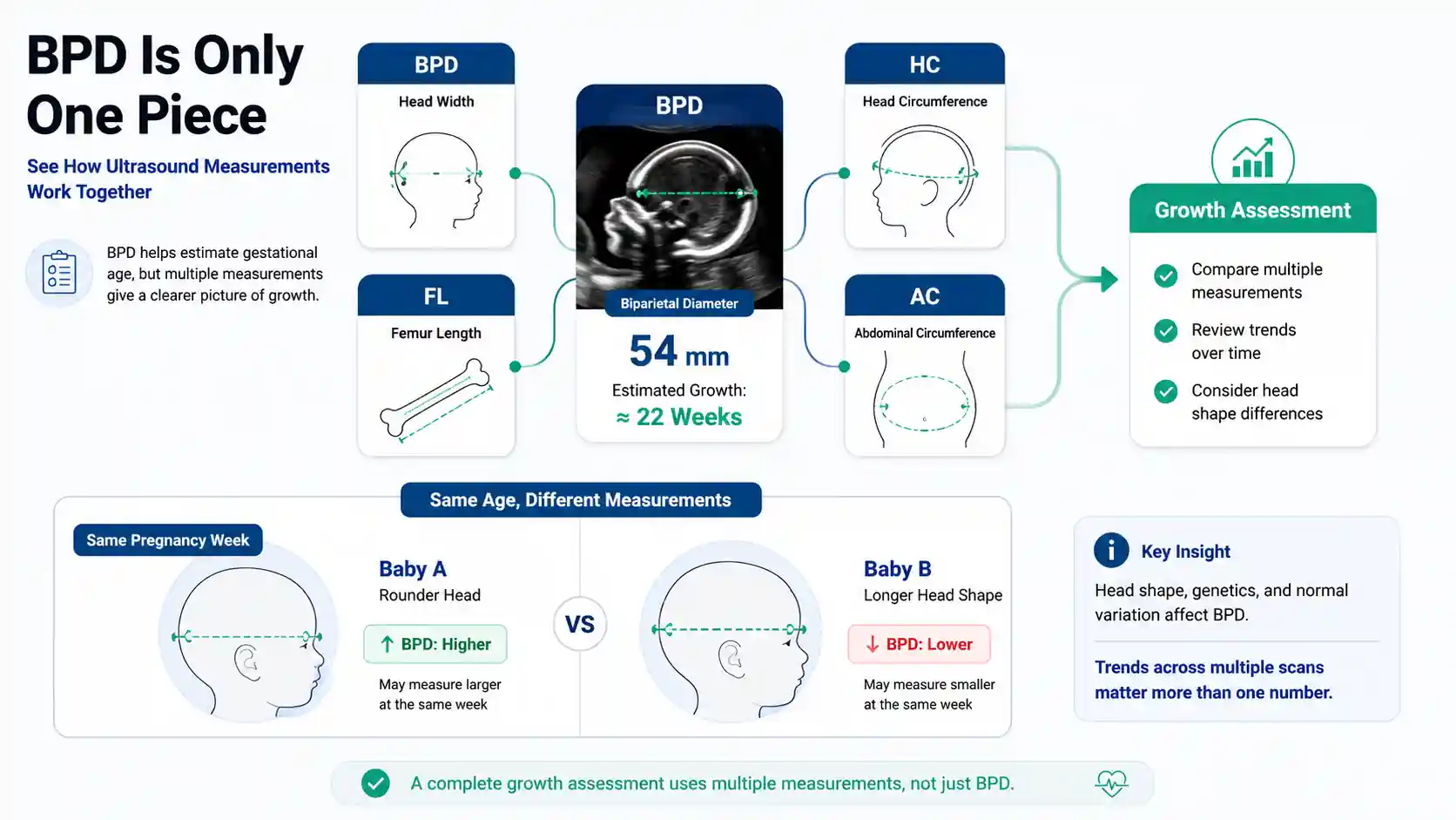 BPD gestational age calculator infographic showing ultrasound measurements including BPD, HC, AC, and FL for fetal growth assessment