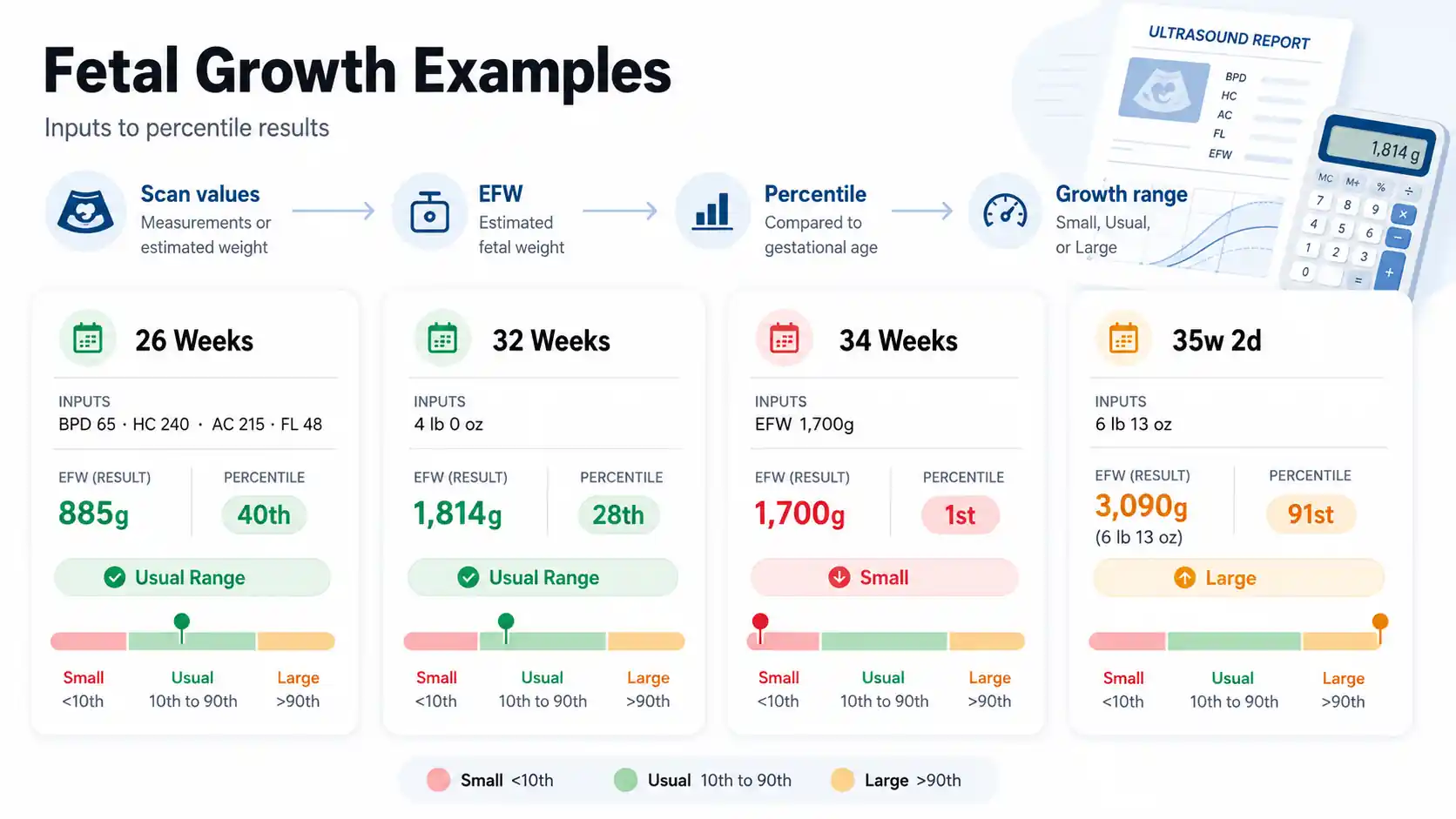 Fetal Growth Calculator examples showing scan inputs, EFW results, percentile badges, and small usual large range bars