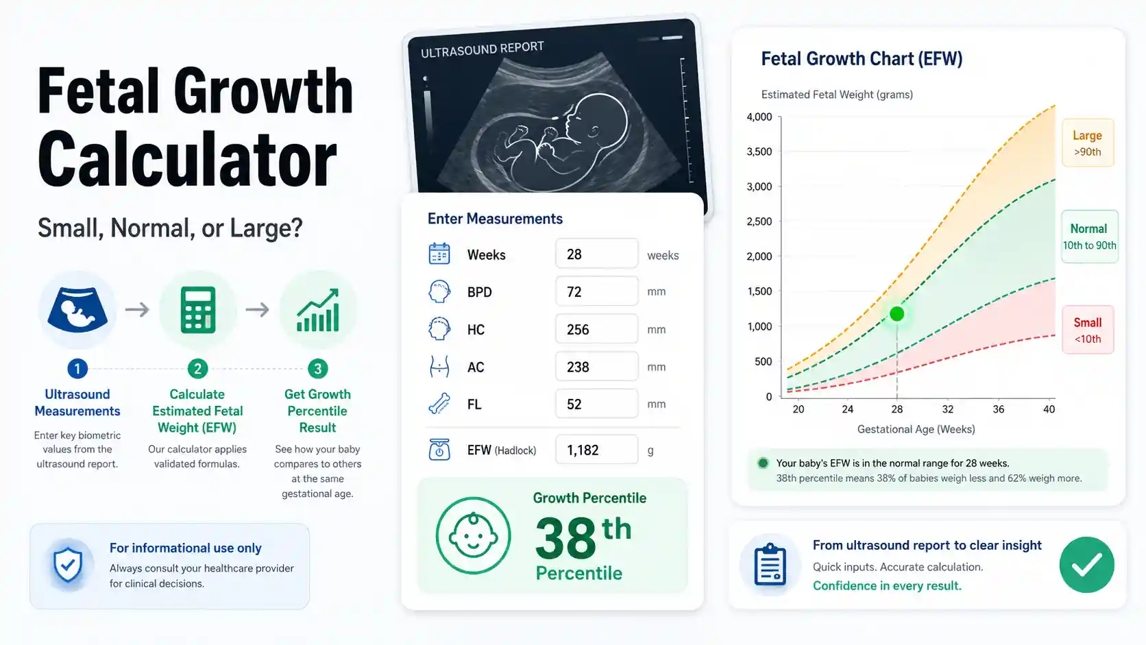 Fetal Growth Calculator showing ultrasound inputs, baby weight percentile chart, and small normal large growth comparison