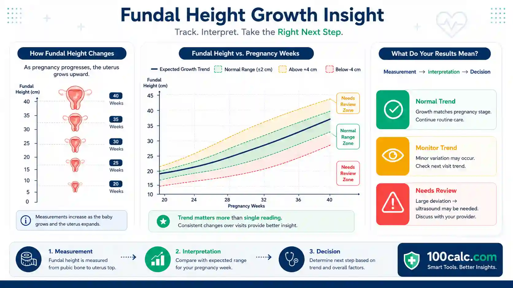 Fundal height pregnancy growth trend visual showing normal range, variation zones, and ultrasound review triggers for tracking fetal development insight
