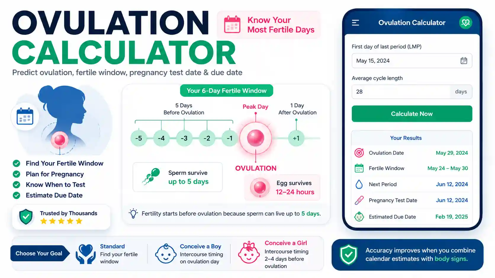 Ovulation calculator showing fertile window timeline, ovulation day, pregnancy test timing, due date estimate, and interactive dashboard.