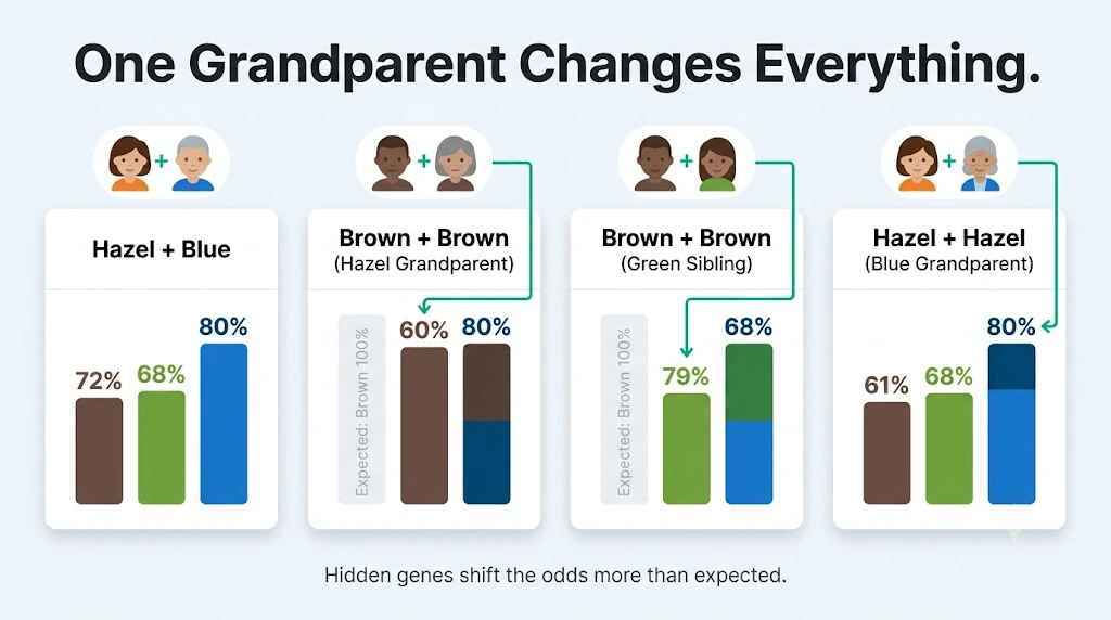 Baby eye color calculator comparison chart showing how grandparent and sibling eye colors shift result percentages across four real family examples.