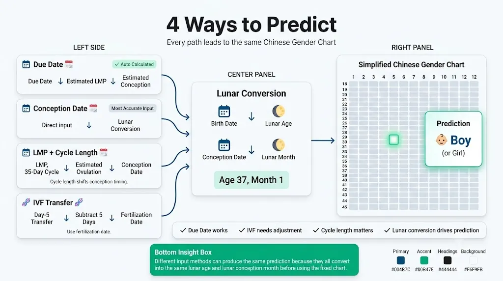 Chinese gender calculator workflow showing due date, LMP, IVF, and conception date converting to lunar age and month before chart prediction.
