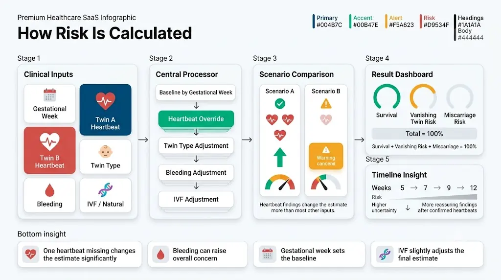 Vanishing twin calculator infographic showing heartbeat-based risk calculation, gestational week adjustments, and survival, vanishing risk, and miscarriage dashboards.