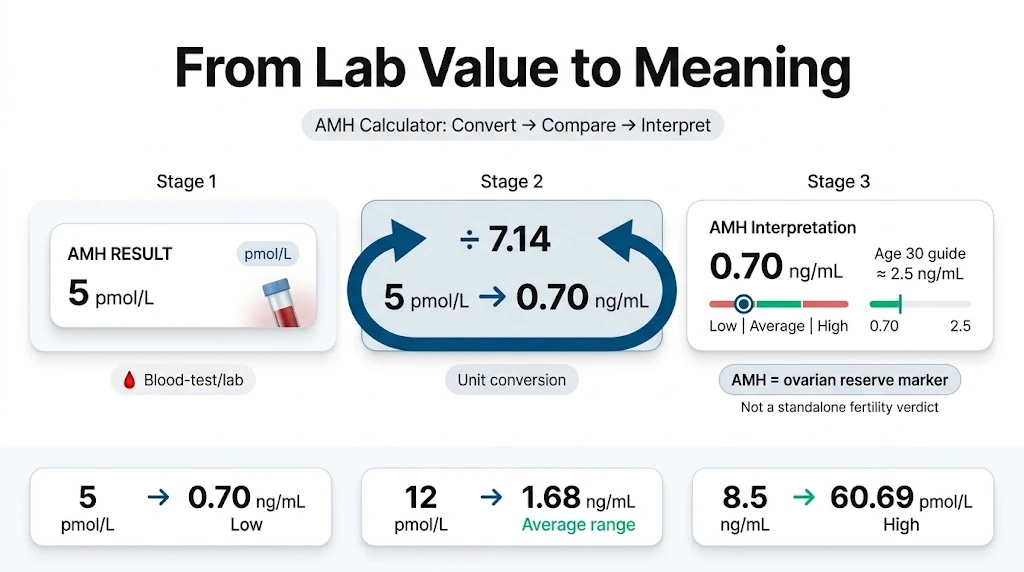 AMH Calculator showing lab value conversion from pmol/L to ng/mL with age comparison, range markers, and example results for interpretation