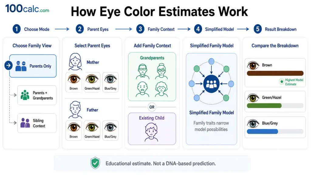Five-step Baby Eye Color Calculator visual showing parent eye colors, optional family context, model processing, and result breakdown.