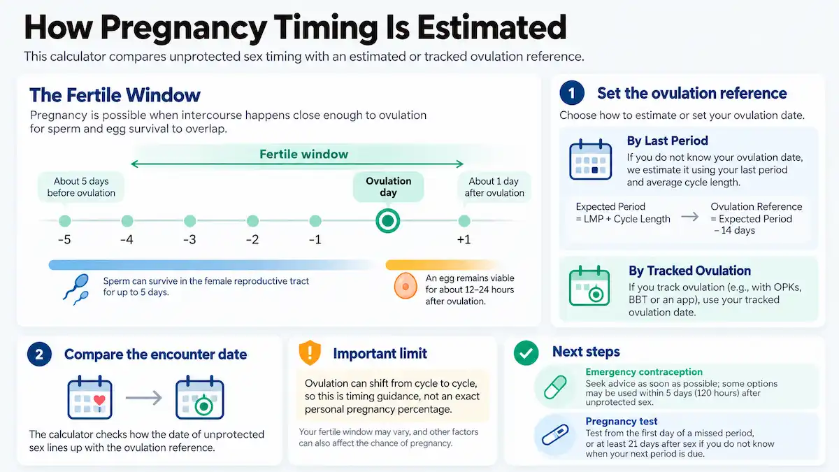 Pregnancy timing infographic showing the fertile window around ovulation, sperm survival, egg lifespan, and how intercourse timing relates to the ovulation reference.